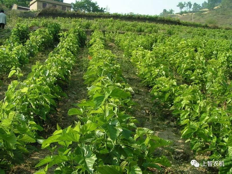 151442487242893511.jpg 微信图片_20171228093338.jpg