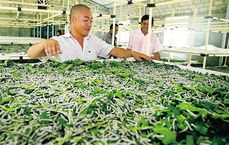 151451267436494597.jpg timg.jpg