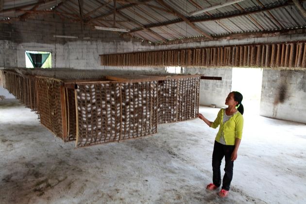 151451361328916251.jpg timg (1).jpg