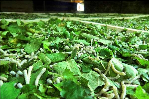 151503159179469761.jpg 293517875.jpg