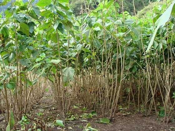 151511625948432572.jpg u=3522421787,570465062&fm=214&gp=0.jpg