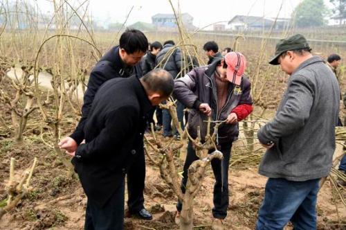 151546915973287835.jpg u=1242943282,4169433502&fm=27&gp=0.jpg