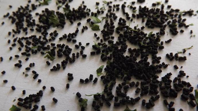 151606702641109656.jpg timg.jpg