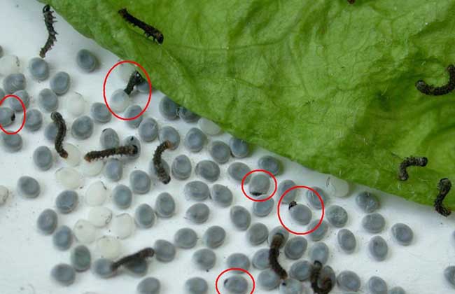 151632434291875368.jpg 3.jpg