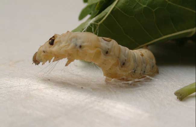 151632441152607609.jpg 5.jpg