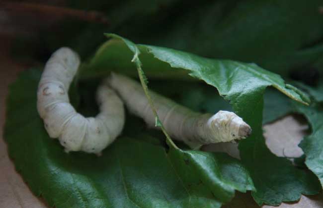 151632453217196593.jpg 6.jpg