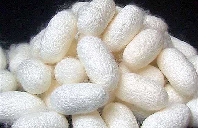 151632455610719669.jpg 9.jpg