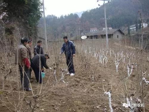 151667322613646541.jpg 1.jpg