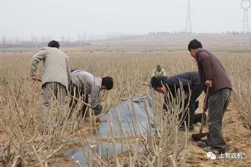 151667323888140993.jpg 2.jpg