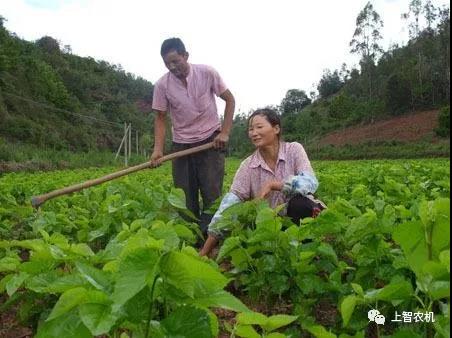 151667325359323072.jpg 3.jpg