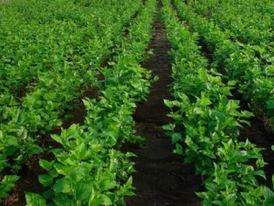 151960848035682329.jpg u=618788488,1247673595&fm=27&gp=0.jpg