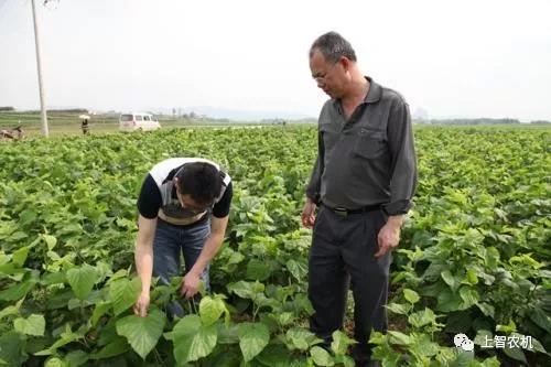 151969692763794031.jpg 151969692763794031.jpg