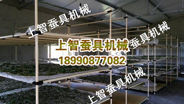 151971800775309365.jpg 蚕台.jpg