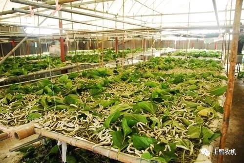 151978287956709348.jpg 微信图片_20180228095208.jpg