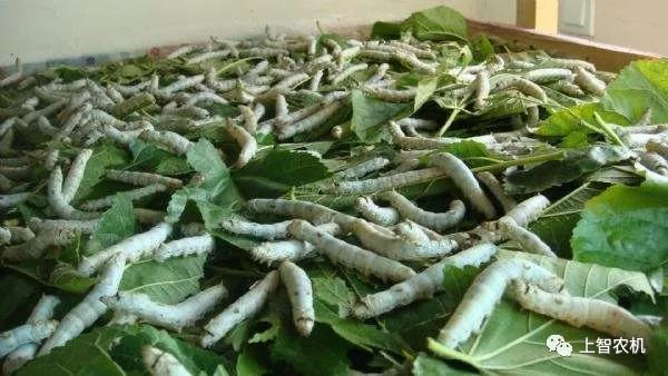 151978419642051182.jpg 微信图片_20180228101406.jpg