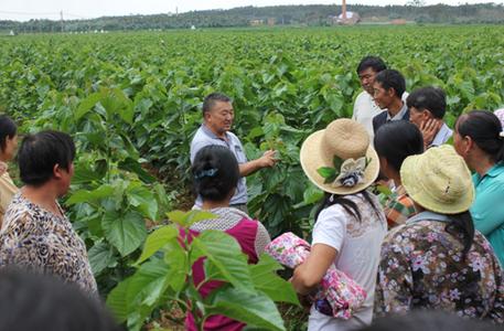 151987168890866977.jpg u=1795876105,3224968547&fm=27&gp=0.jpg