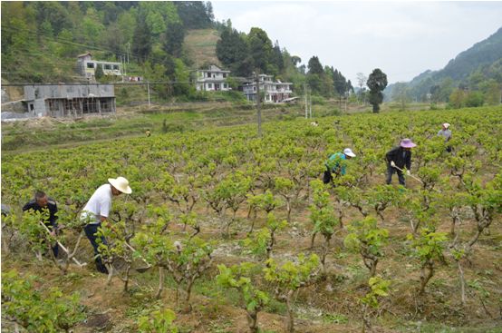 152168649347432034.jpg 152168649347432034.jpg